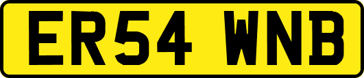 ER54WNB