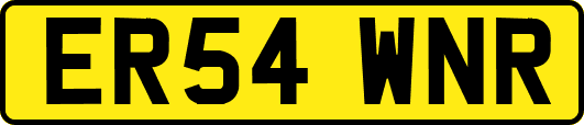 ER54WNR