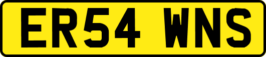 ER54WNS