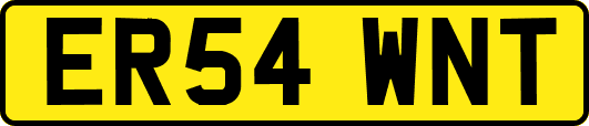 ER54WNT