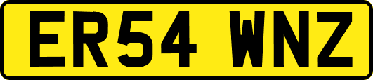 ER54WNZ