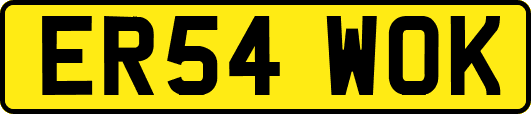 ER54WOK