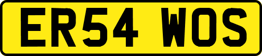 ER54WOS
