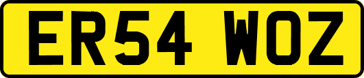 ER54WOZ