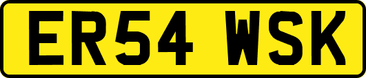 ER54WSK