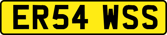 ER54WSS