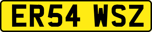 ER54WSZ