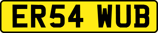 ER54WUB