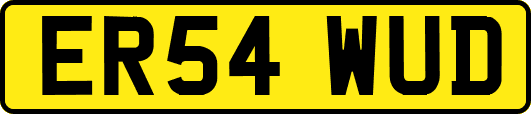 ER54WUD