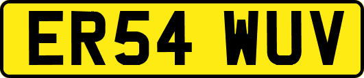 ER54WUV