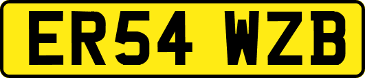 ER54WZB