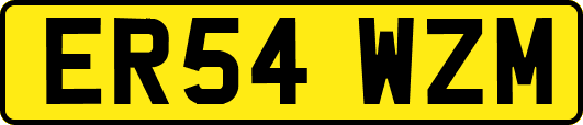ER54WZM
