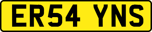 ER54YNS