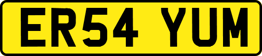 ER54YUM