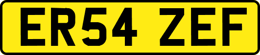 ER54ZEF