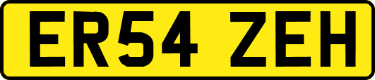 ER54ZEH