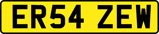 ER54ZEW