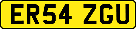 ER54ZGU