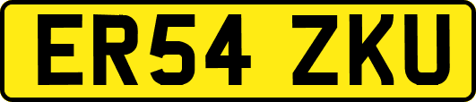 ER54ZKU