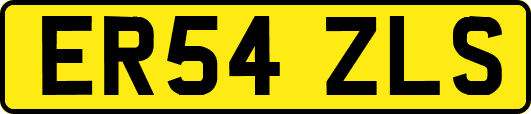 ER54ZLS