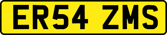 ER54ZMS