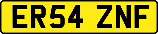 ER54ZNF