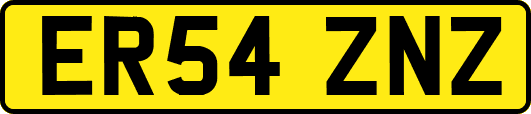 ER54ZNZ