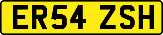 ER54ZSH