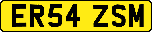 ER54ZSM