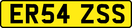 ER54ZSS