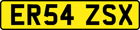 ER54ZSX