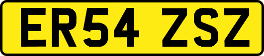 ER54ZSZ