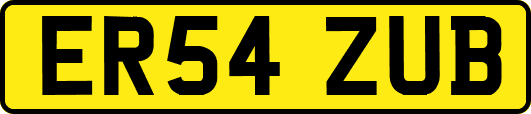 ER54ZUB