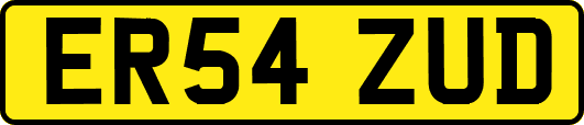 ER54ZUD