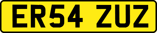 ER54ZUZ