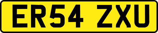 ER54ZXU