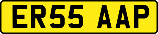 ER55AAP