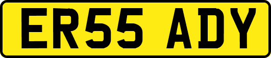 ER55ADY