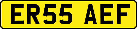 ER55AEF