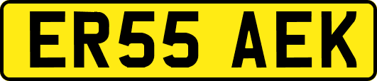 ER55AEK