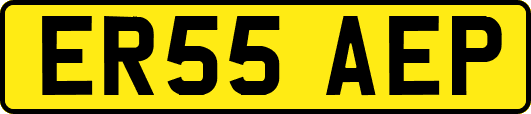 ER55AEP