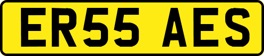 ER55AES