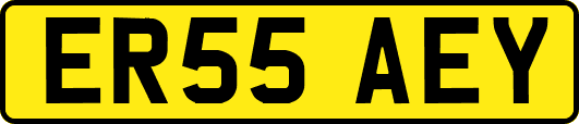 ER55AEY