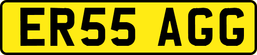 ER55AGG