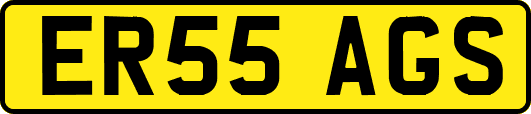 ER55AGS