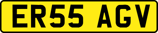 ER55AGV