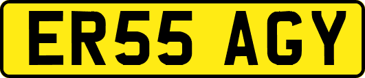 ER55AGY