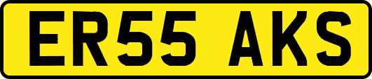 ER55AKS