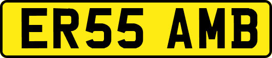 ER55AMB