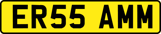 ER55AMM